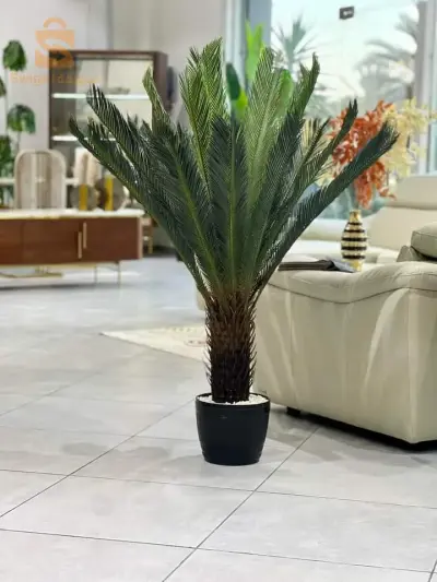 اشجار الزينة
