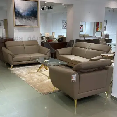 salon similcuir