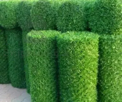 سياج العشب