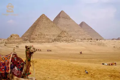 Travel and tourism