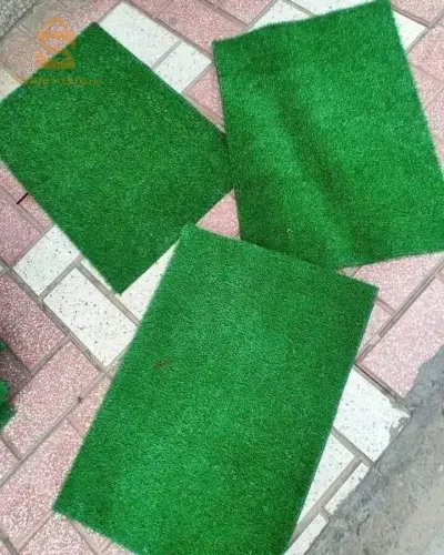 tapis