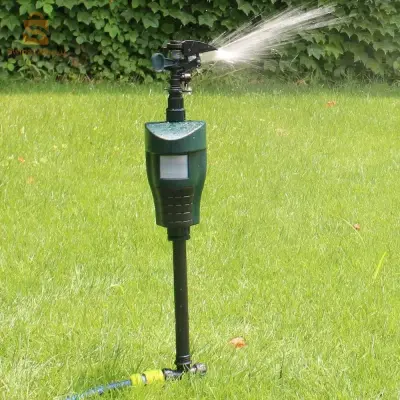 jet d'eau avec detecteur de mouvement