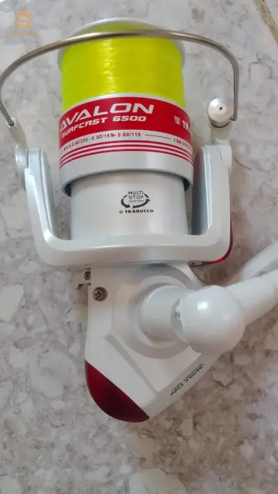 موليني الصيد Teabucco