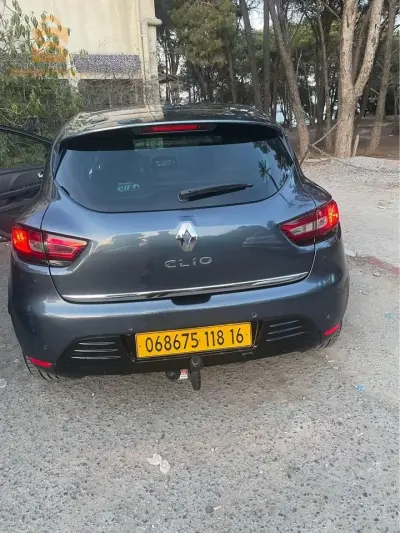Clio limited 2018