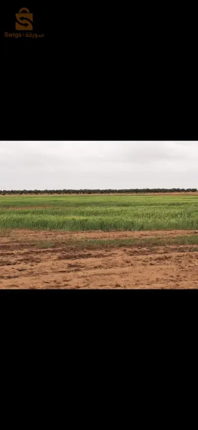 terre agricollte 85 hectare