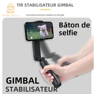 stabilisateur :L09