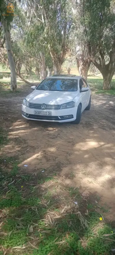 Passat R 2011