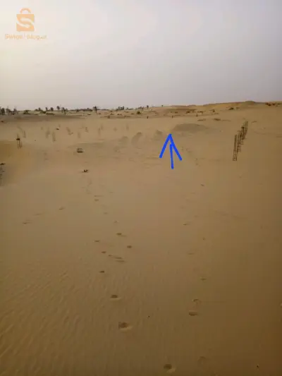 حي بوخمسة نقوسة