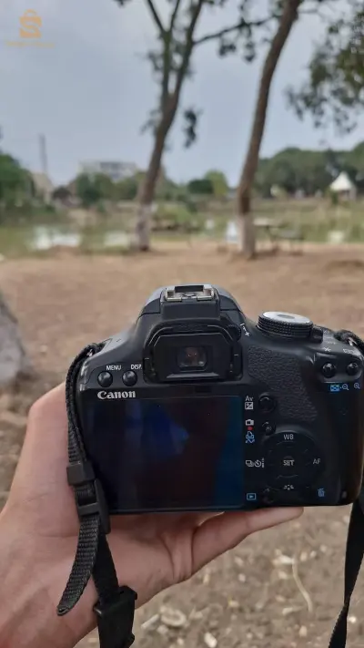 canon d500