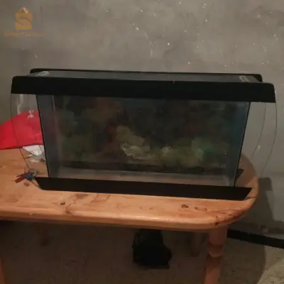 aqoiriume en verre