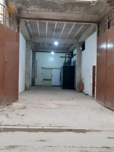 كراء شمبر فروى