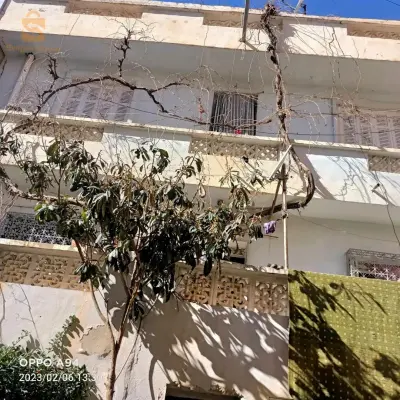 الرياط تلمسان