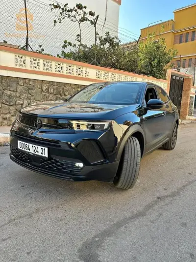 Mokka eligence