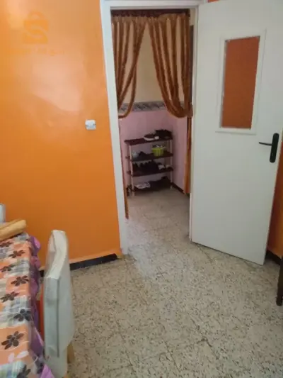 حي زرهوني مختار ليباناني