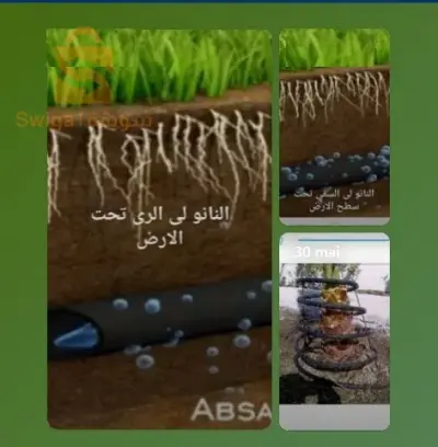 الانبوب الراشح