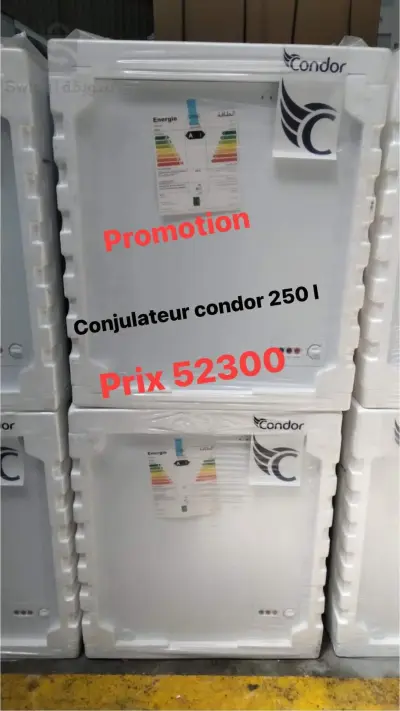 Condor