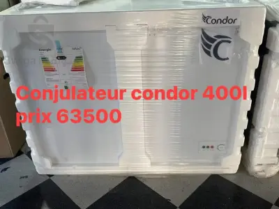 condor