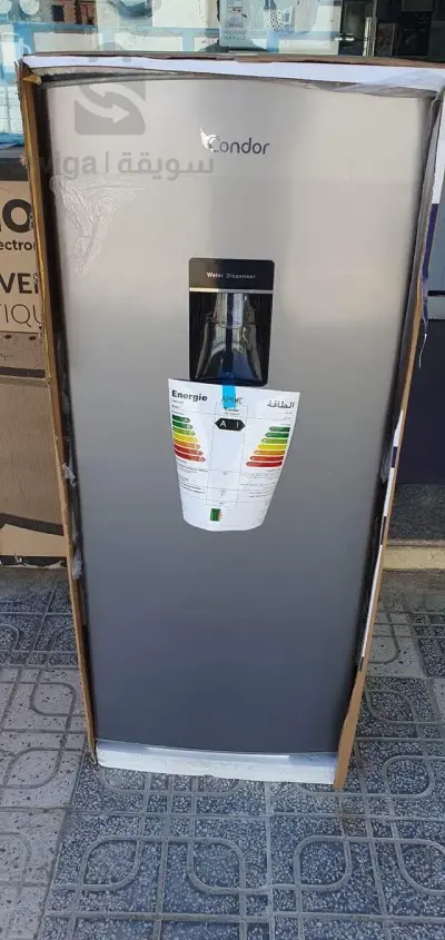 كوندور