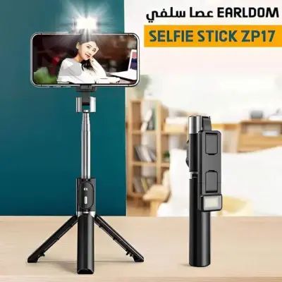 عصا سالفي