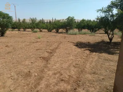 قطعة أرض صالحة لغرس الأشجار المثمرة