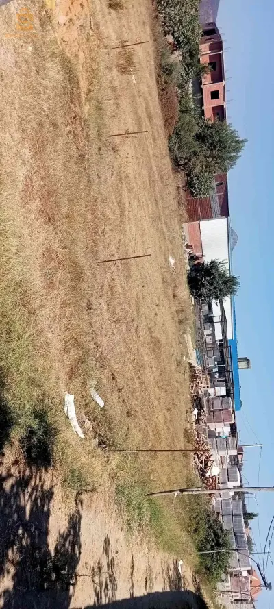 تالزا القل