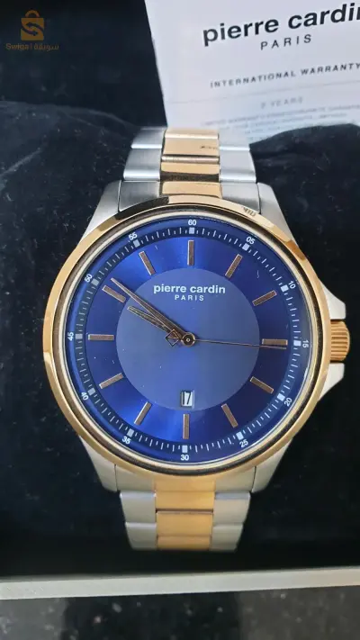 Montre pour Hommes Pierre Cardin