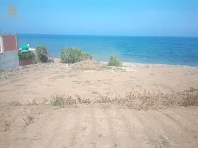 تيبازة