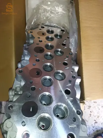 العلمة