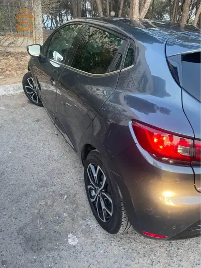 Clio limited 2018