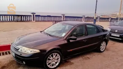 DZD1200000 logana