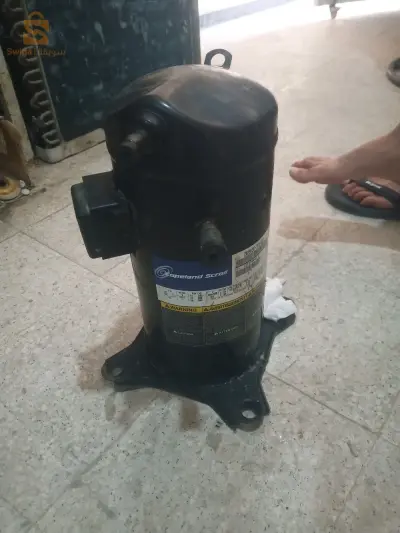 المسيلة