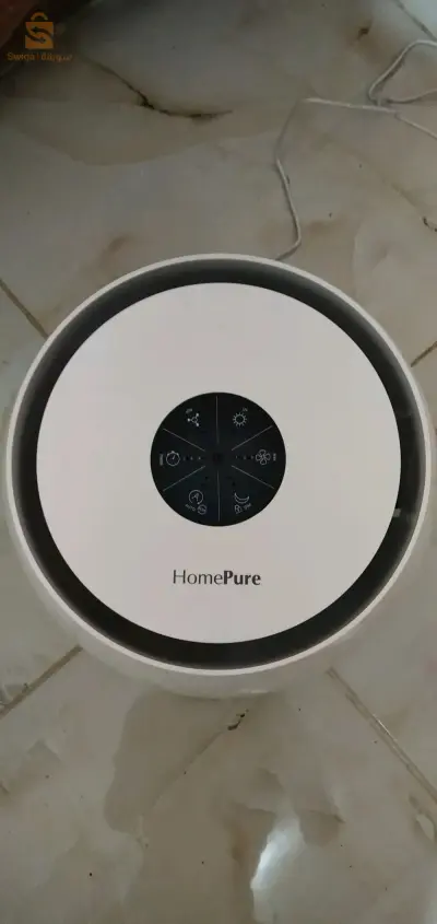 Home pure Zayn