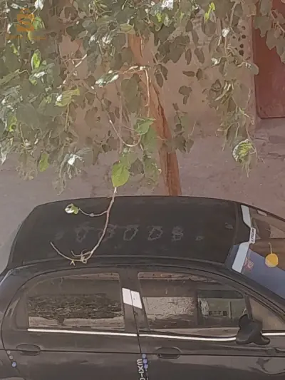 عين وسارة 0671651957