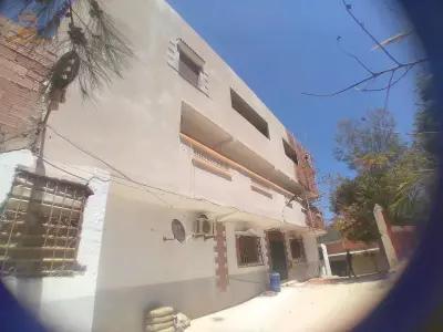 تنس