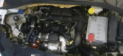 301 HDI