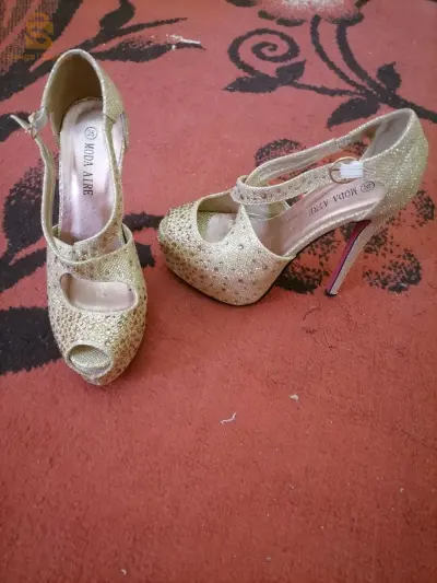 Chausseur soirée dorée