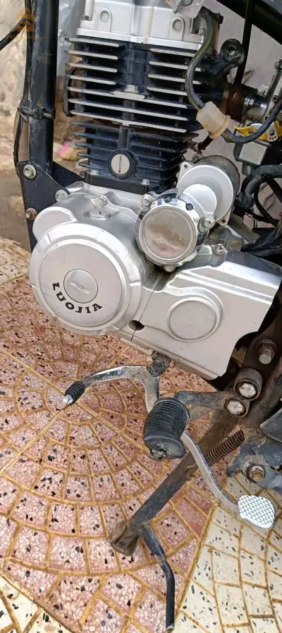 عين الخضراء المسيلة