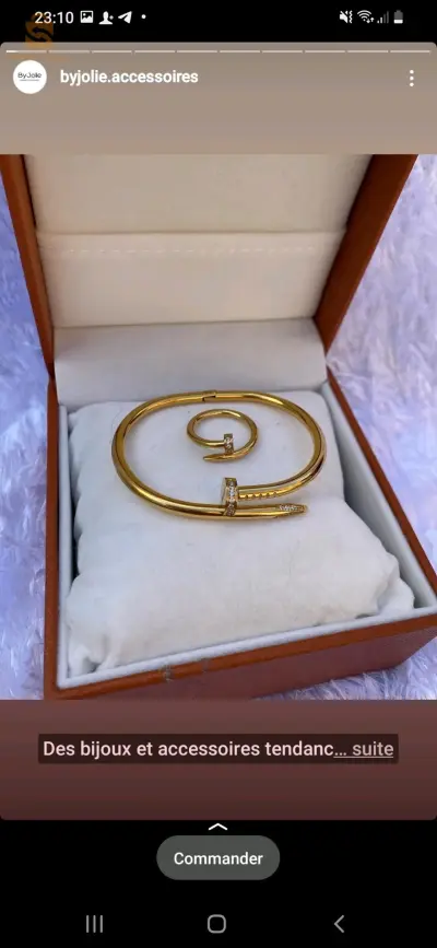Des accessoires magnifiques et uniques