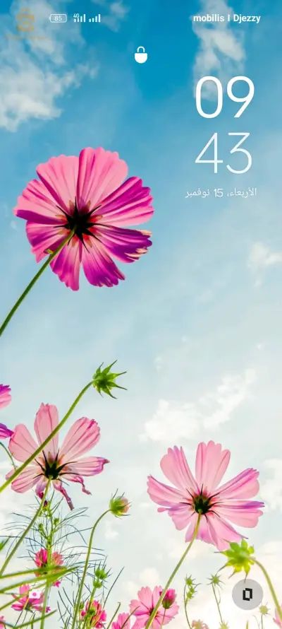 كراء فيلا خاصة لشركة او بنك او عيادة او مدرسة