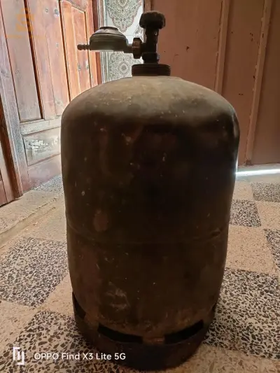البيض