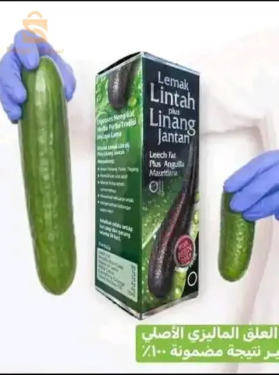 وهران