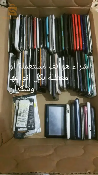 اخضرية ولية بويرة