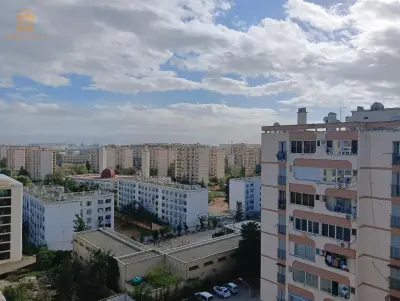 سوريكال.باب الزوار
