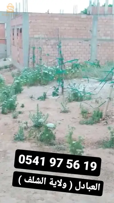 ارض للبيع