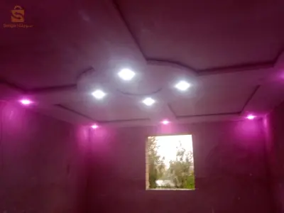 بلاطر