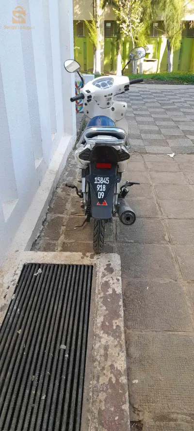 fiha kolchii march