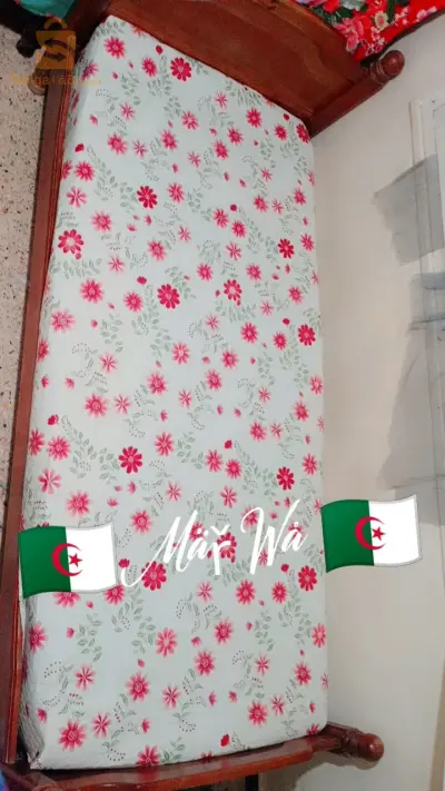 سيدي عمار عنابة