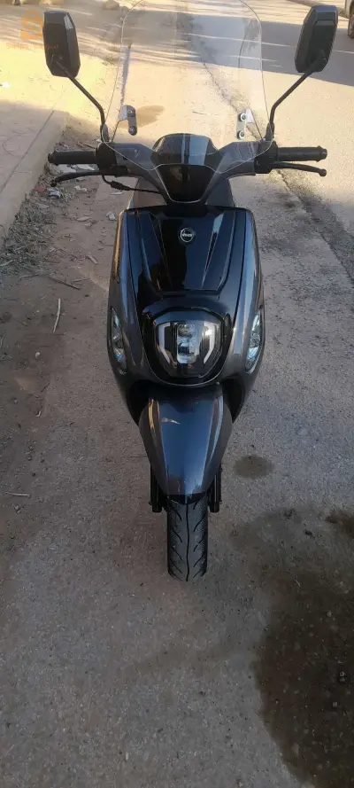 Estate X 2023