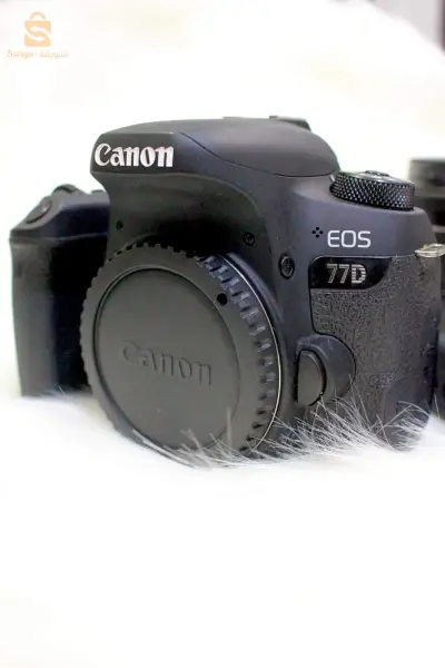 canon 77D
