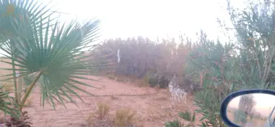 location terrain